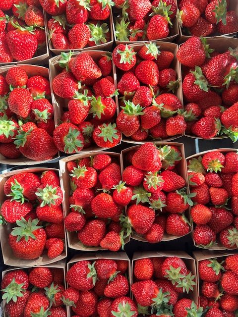 Erdbeeren_26