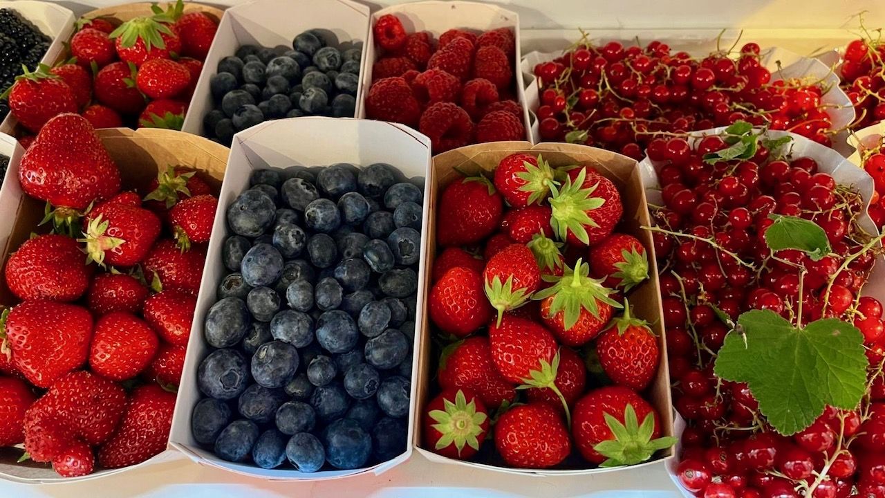 Beeren_Juni26