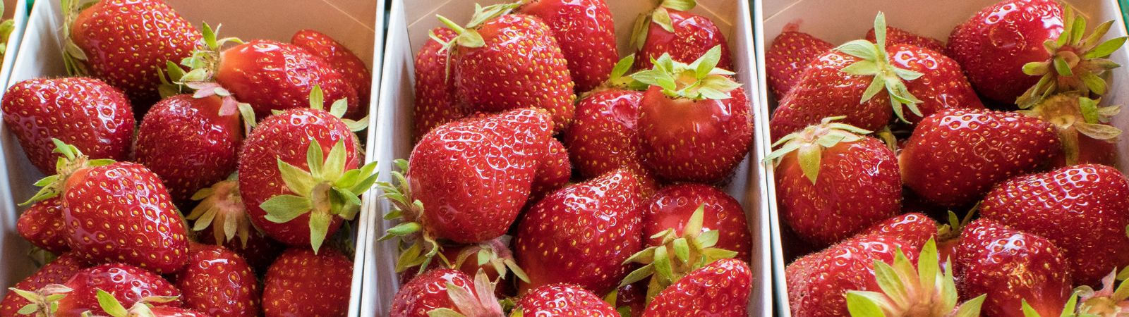 Frische Erdbeeren saisonal einkaufen